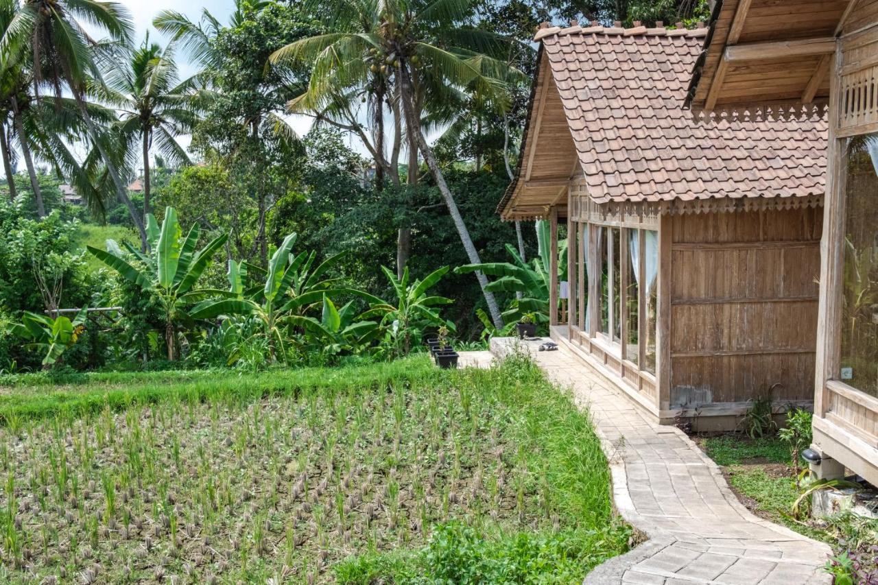 Kidem Ubud